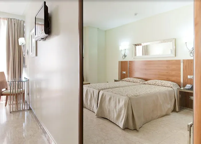 그랜 코로나 솔